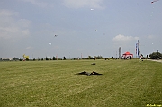 Parco San Giuliano  - 134